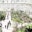 Article card image for Kew's Magnificent Temperate House Is Open Again